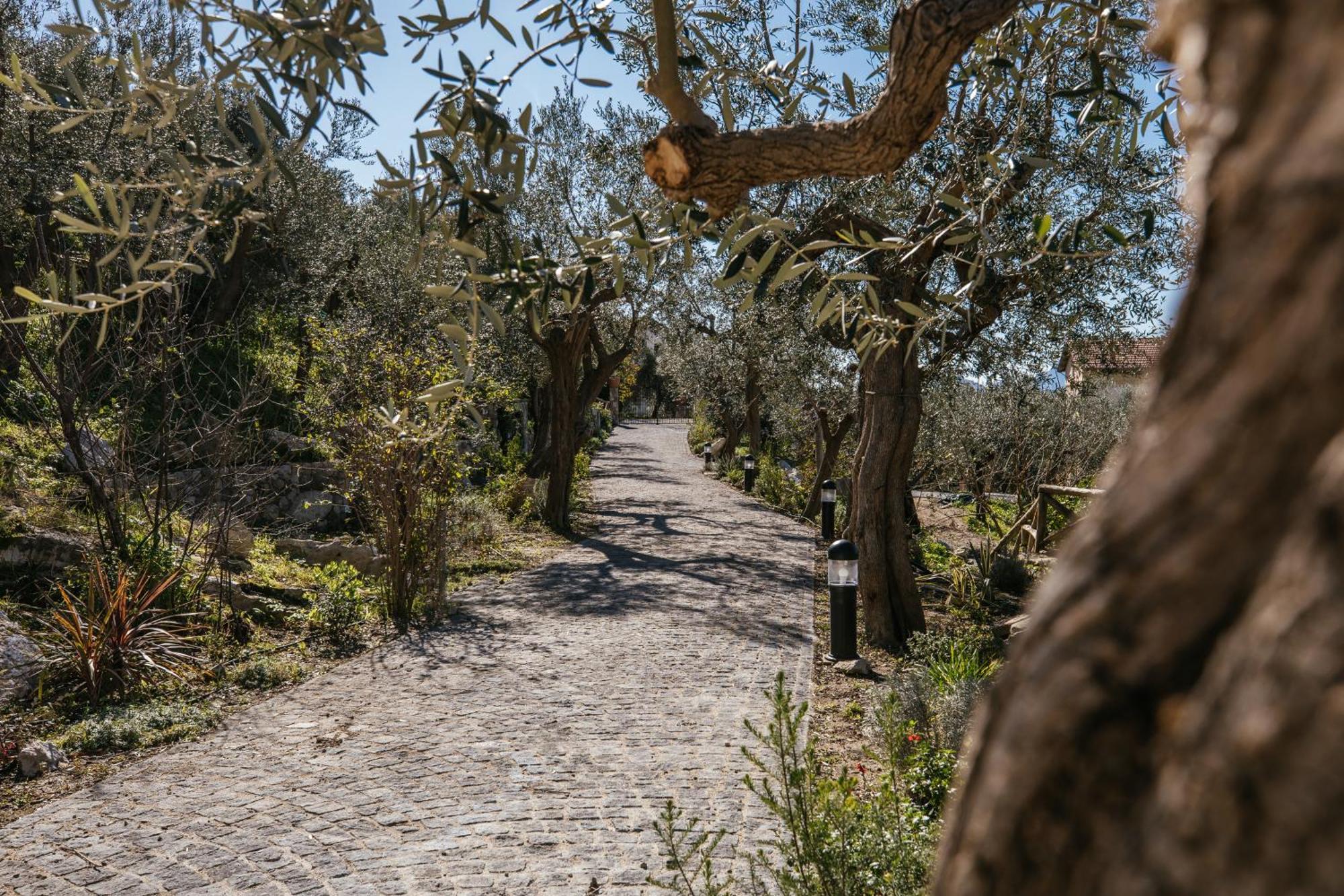 מלון מסה לוברנסה Melrose Relais מראה חיצוני תמונה