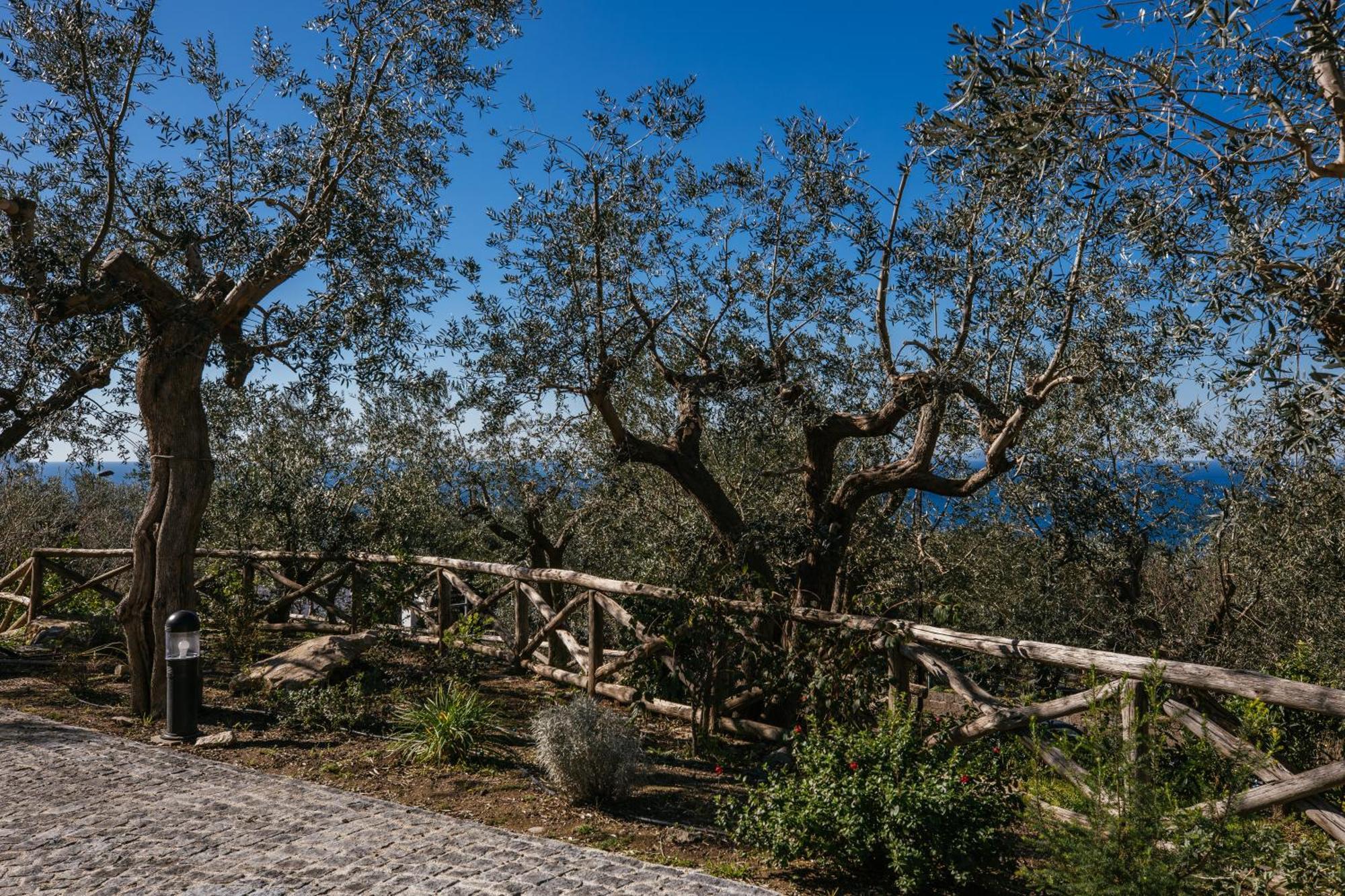 מלון מסה לוברנסה Melrose Relais מראה חיצוני תמונה